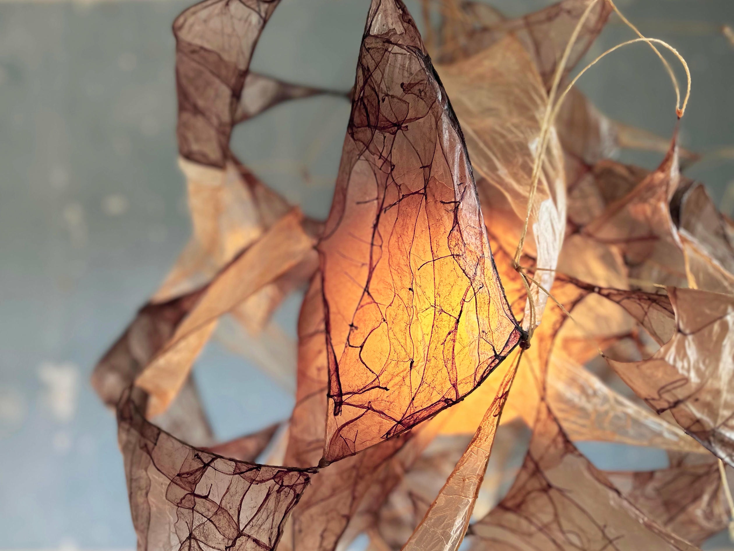 Multi Purple Pendant Lamp in Bio Material with Natural Dyes by Thibault Philip 5