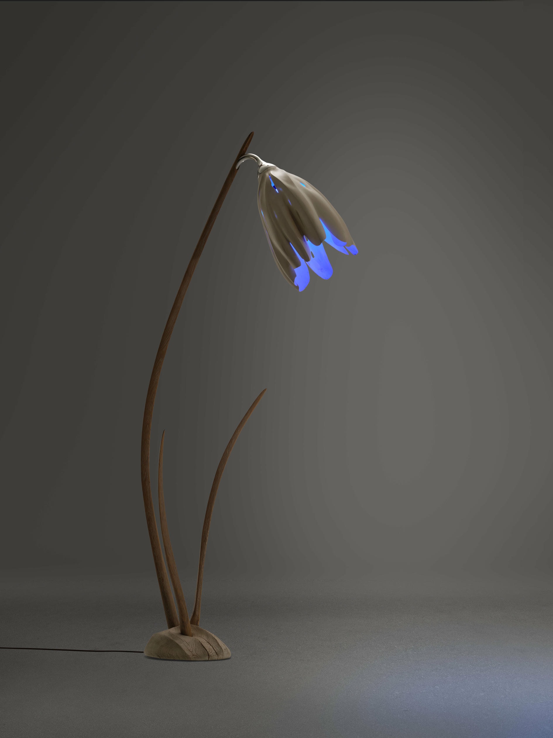 Sarensia Flora Floor Lamp in Hornbeam Oak Wood by Alun Heslop 7