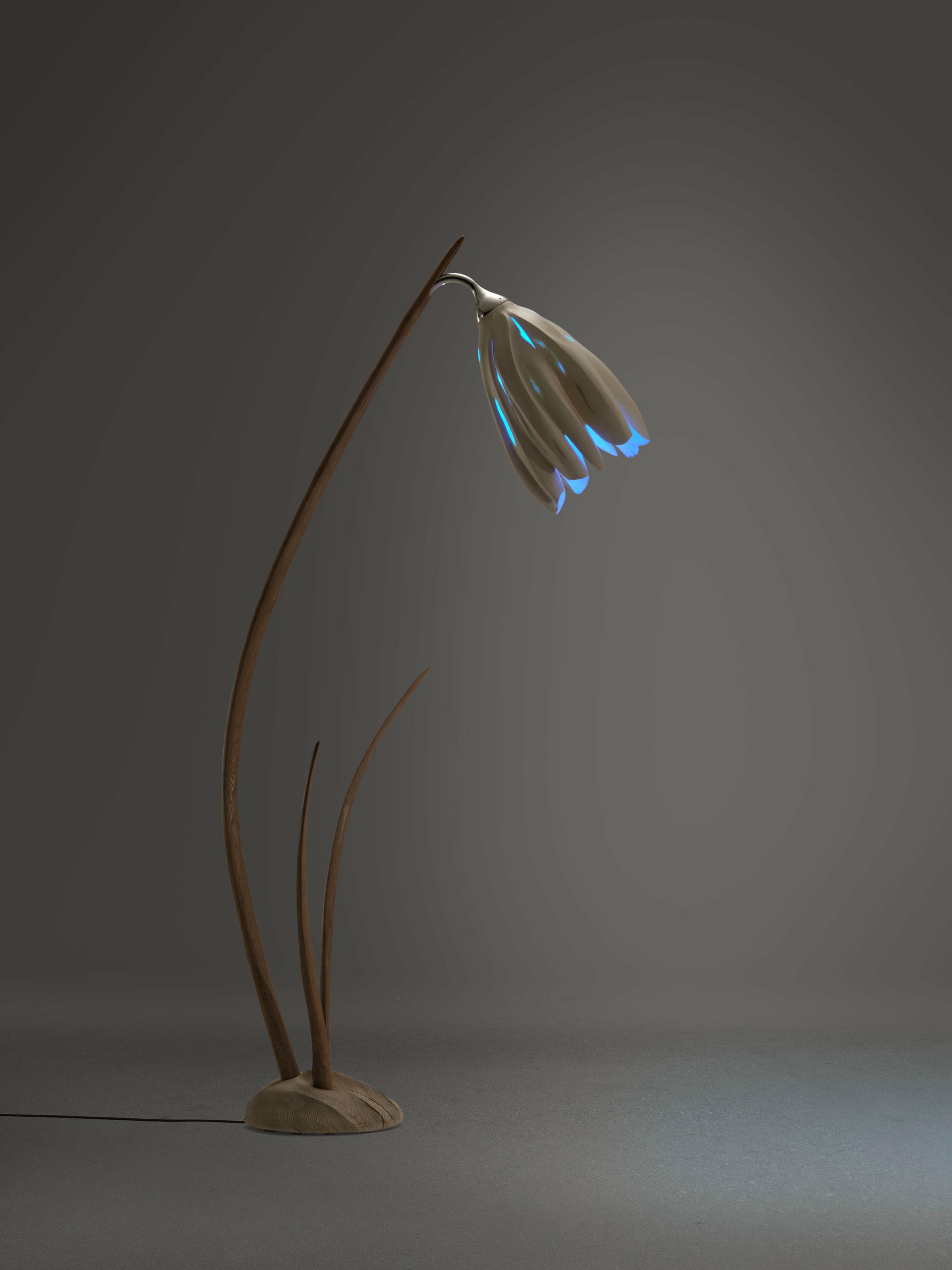 Sarensia Flora Floor Lamp in Hornbeam Oak Wood by Alun Heslop 8