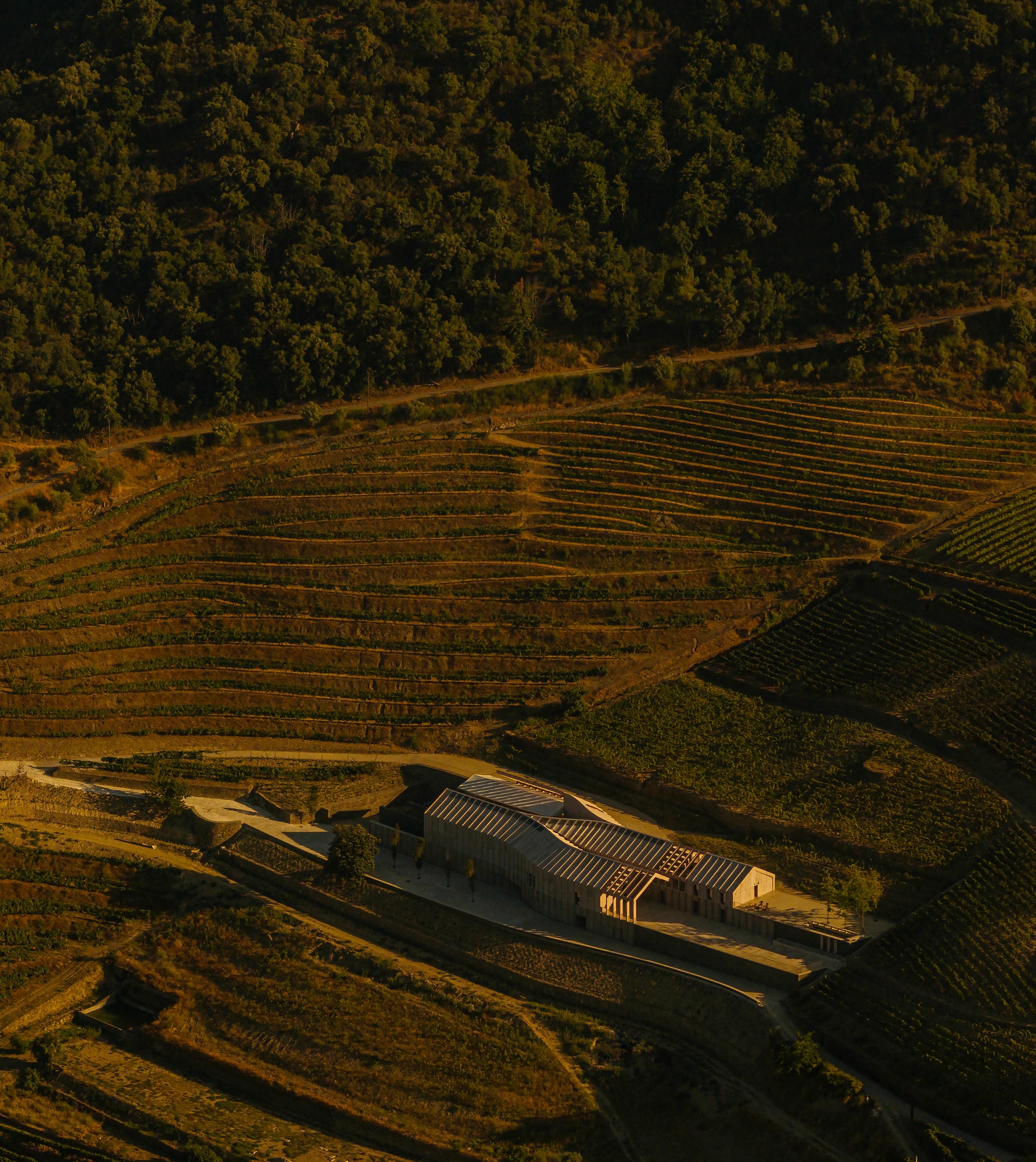 Sérgio Rebelo Quinta de Adorigo Winery © Fernando Guerra FG+SG 1