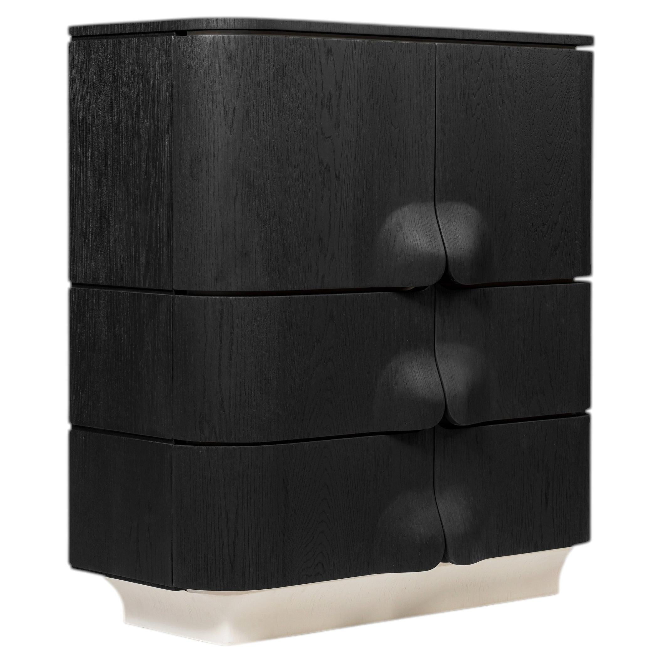 Arnava Door Cabinet in Natural Oak Veneer by Pendhapa 1