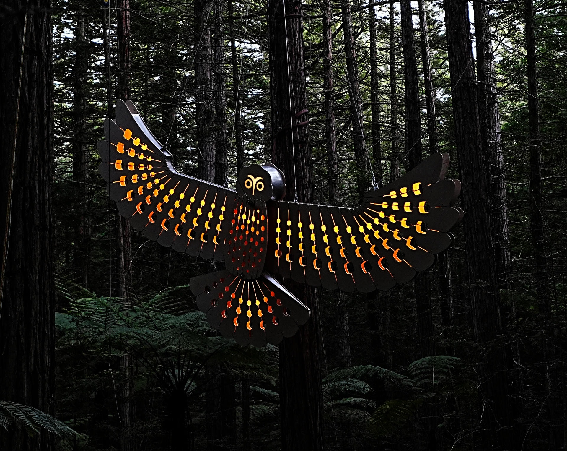 David Trubridge 13