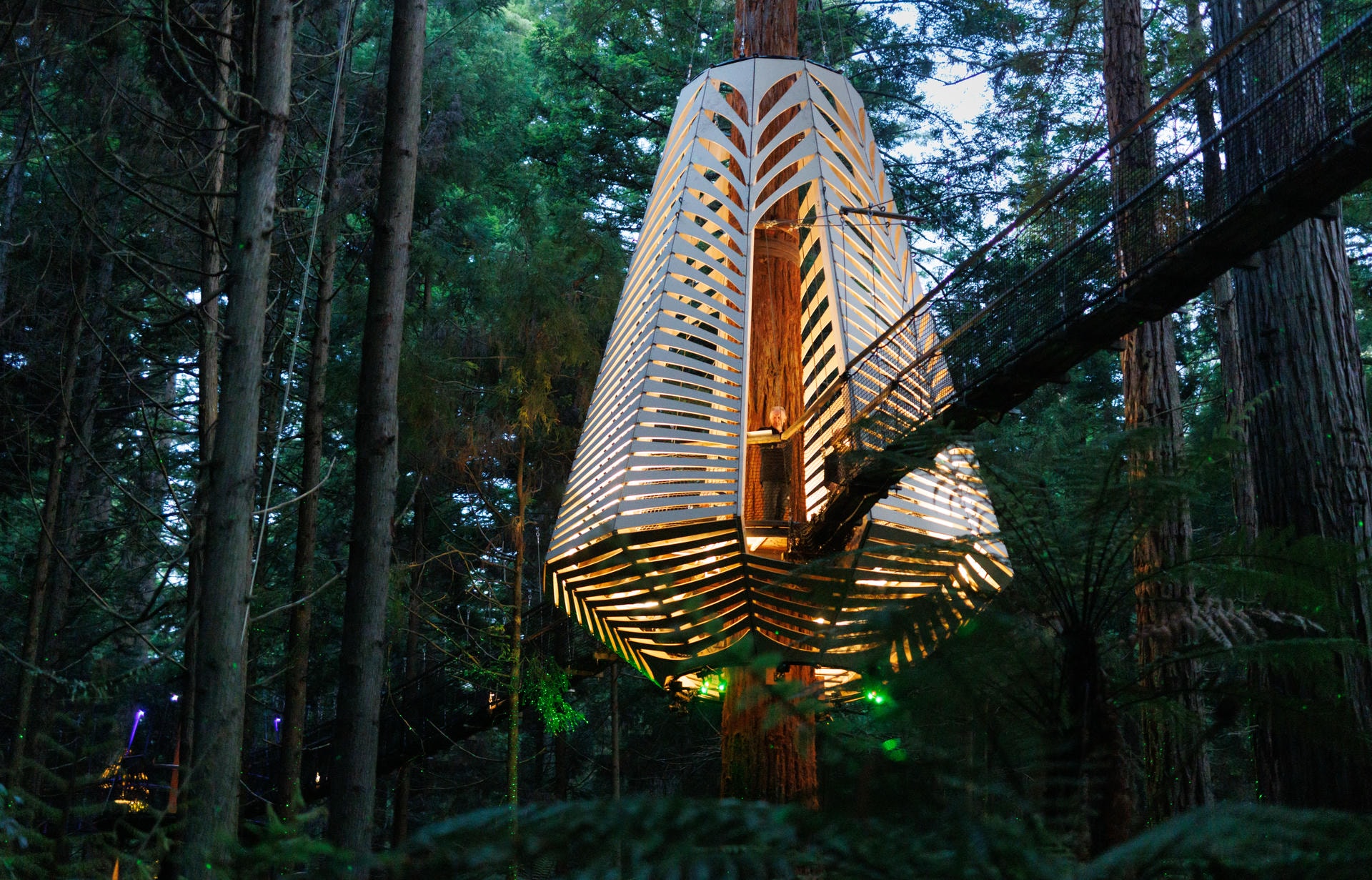 David Trubridge 6