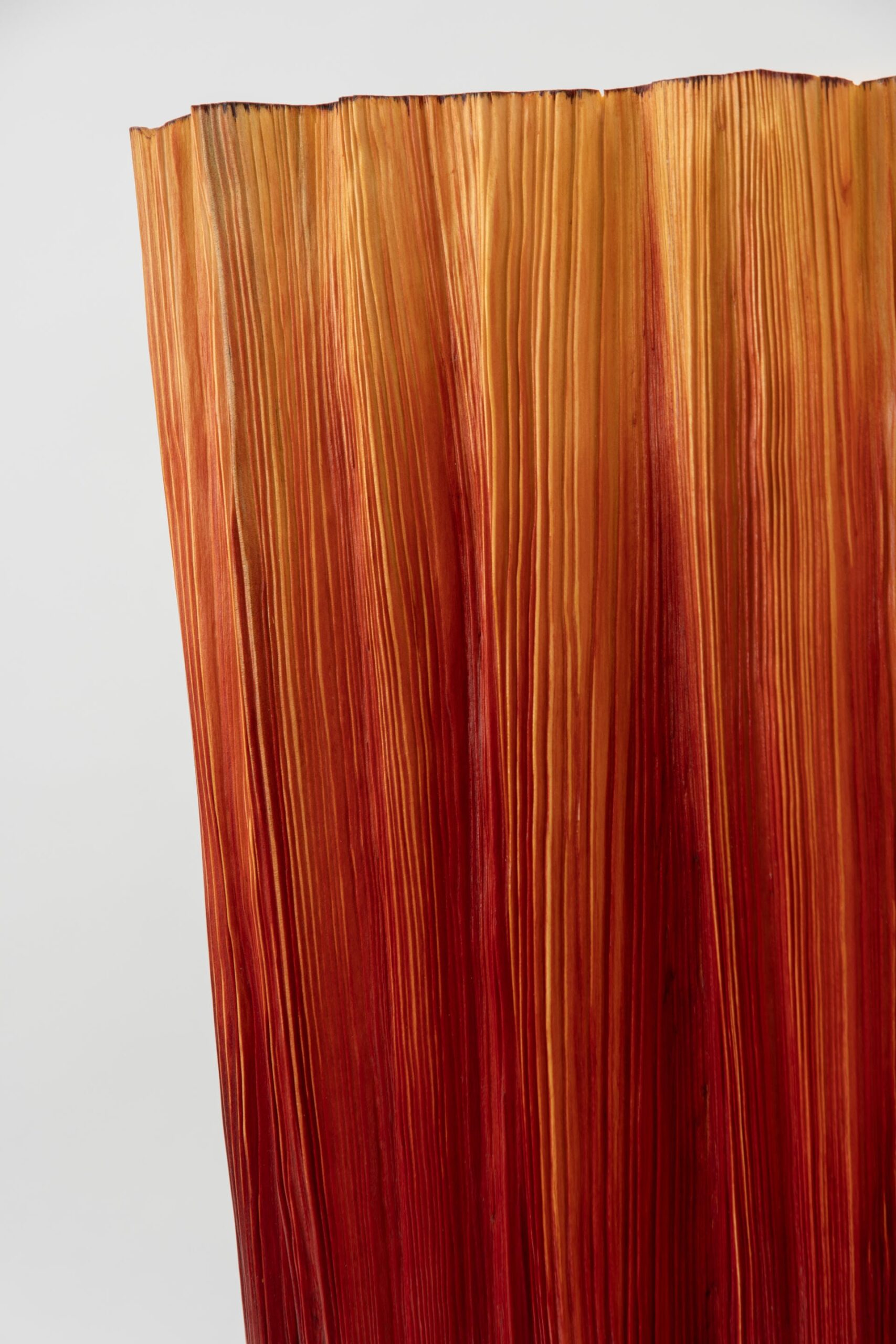 Didi Ng Wing Yin Pleats Vase No.19_2