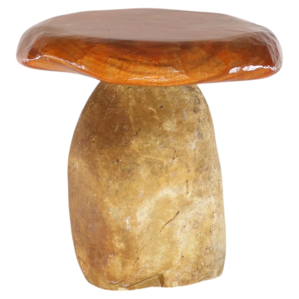 Natural Bolete Side Table by Henry Dath