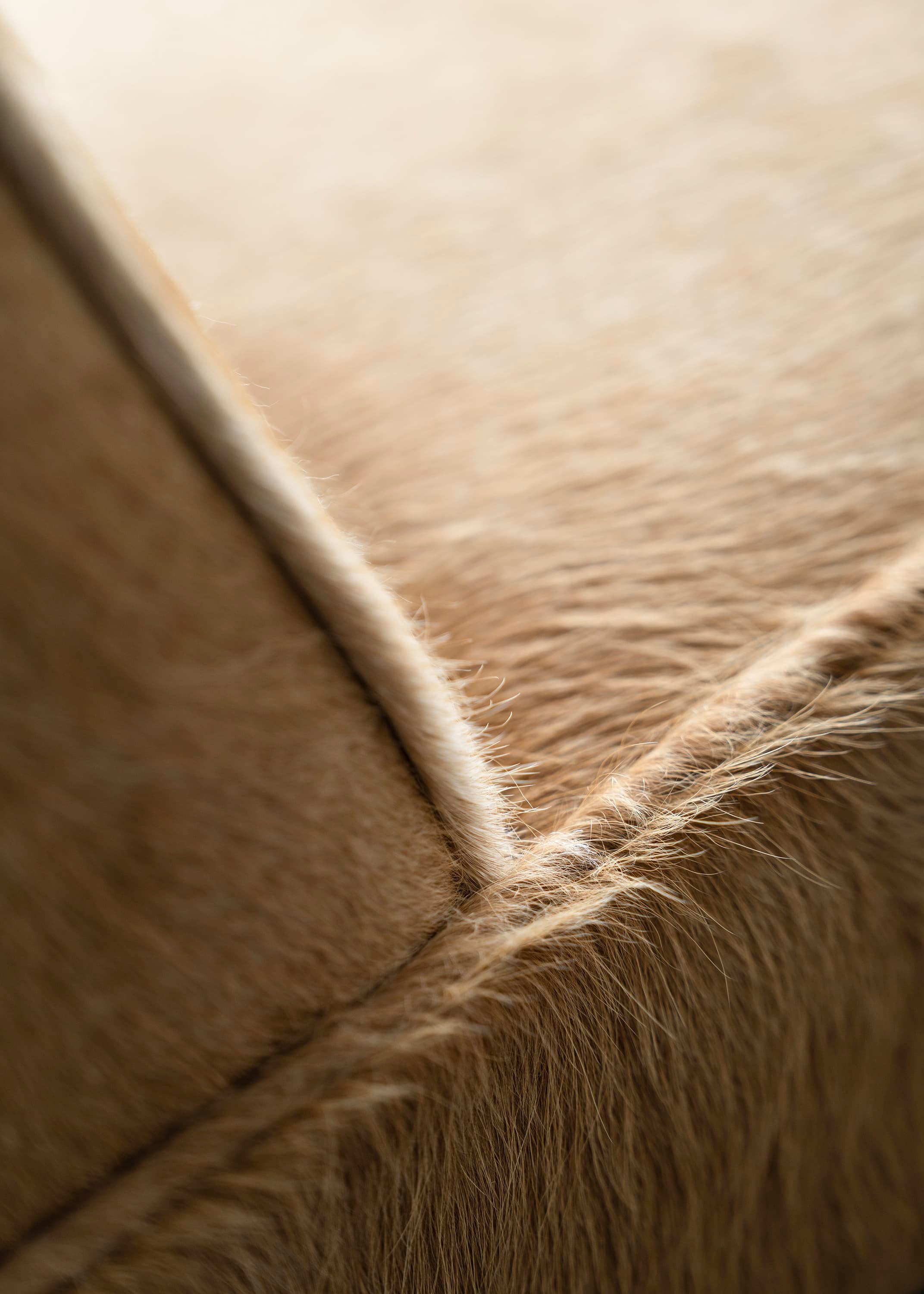 Ut 01 Cowhide and Walnut Sofa by Sing Chan 4